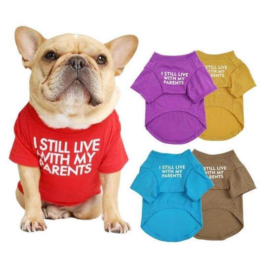 Still live with my parents - Chills Pet Pals