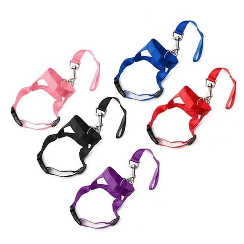 Head Collar Training Leash - Chills Pet Pals