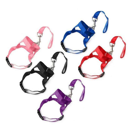 Head Collar Training Leash - Chills Pet Pals