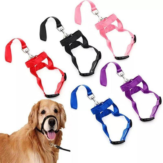Head Collar Training Leash - Chills Pet Pals
