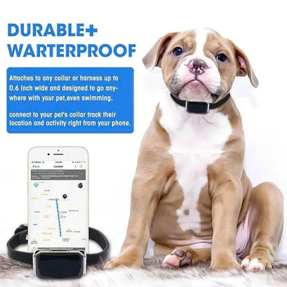 GPS Pet Locator