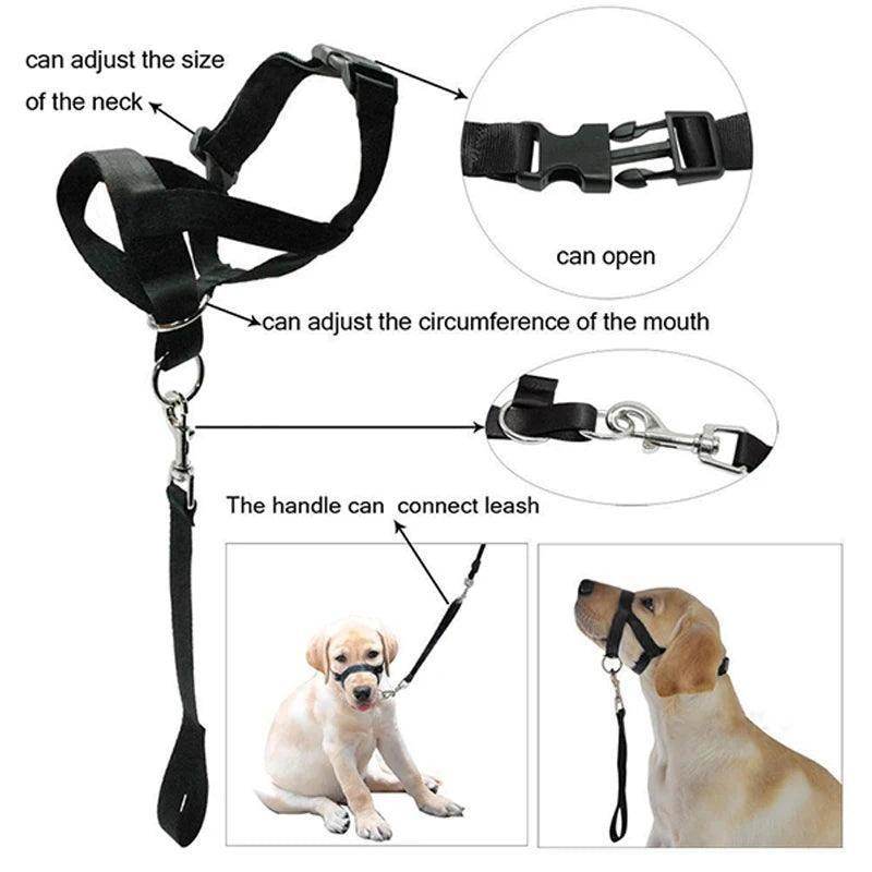 Head Collar Training Leash - Chills Pet Pals