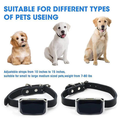 GPS Pet Locator