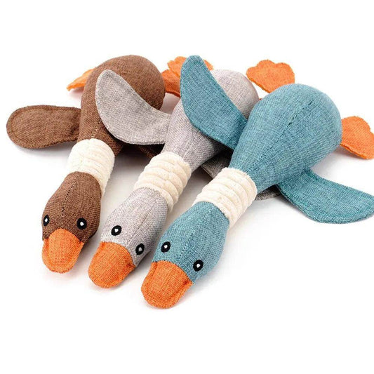 Chew toy for your dog - Chills Pet Pals