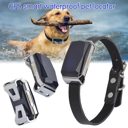 GPS Pet Locator
