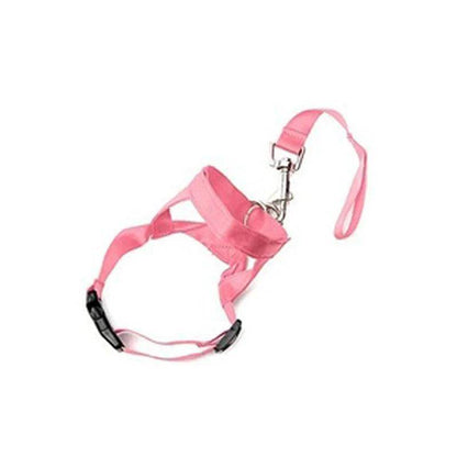 Head Collar Training Leash - Chills Pet Pals