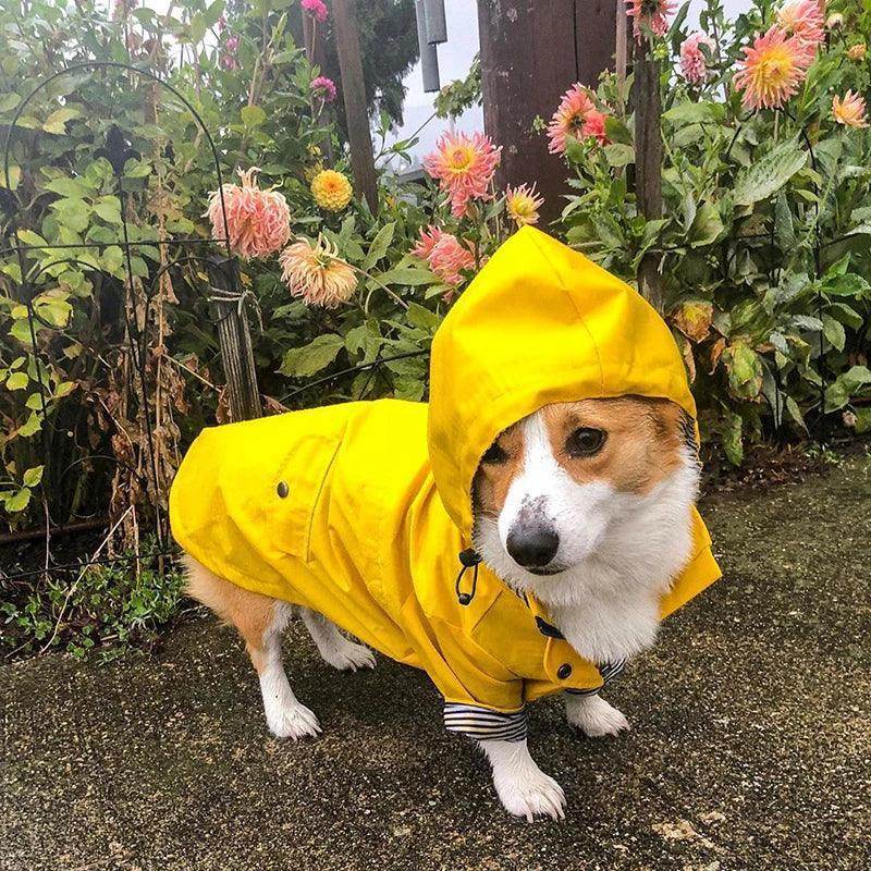 Waterproof Raincoat for Dogs - Chills Pet Pals