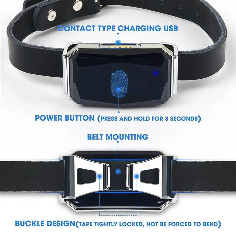 GPS Pet Locator