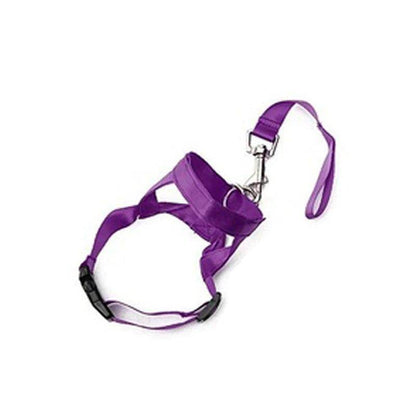 Head Collar Training Leash - Chills Pet Pals