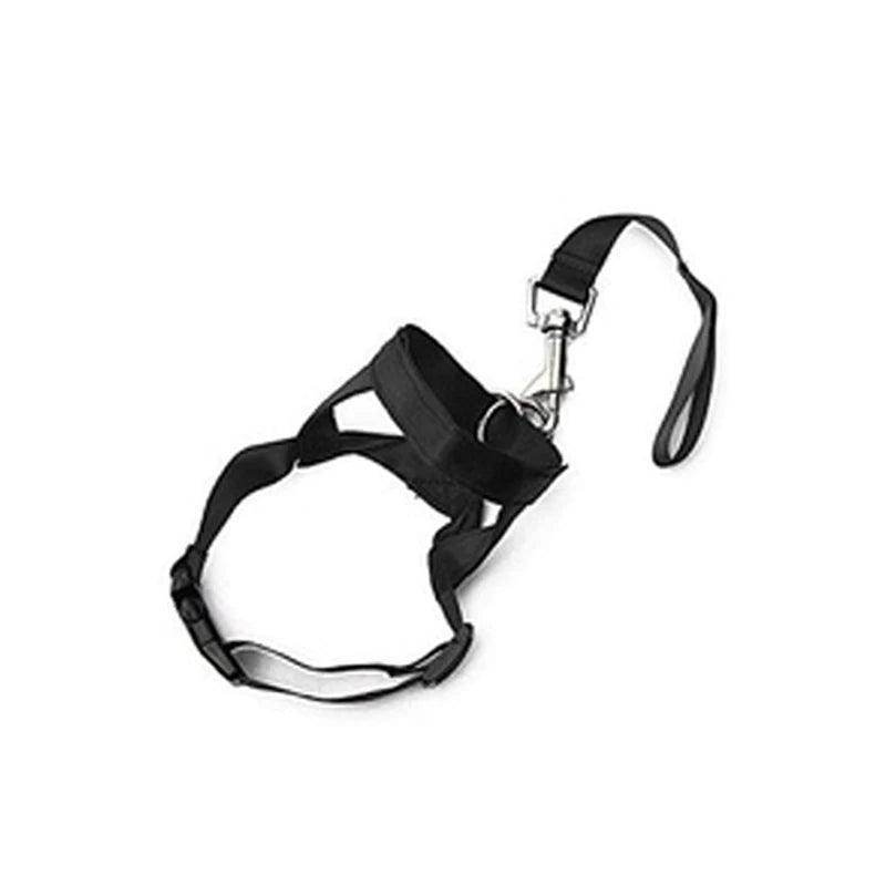 Head Collar Training Leash - Chills Pet Pals