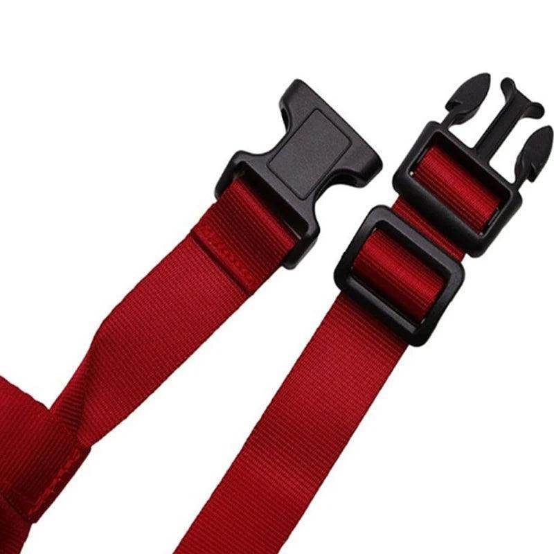 Head Collar Training Leash - Chills Pet Pals