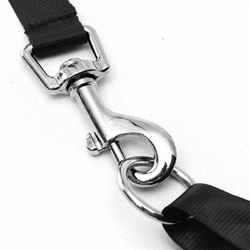 Head Collar Training Leash - Chills Pet Pals