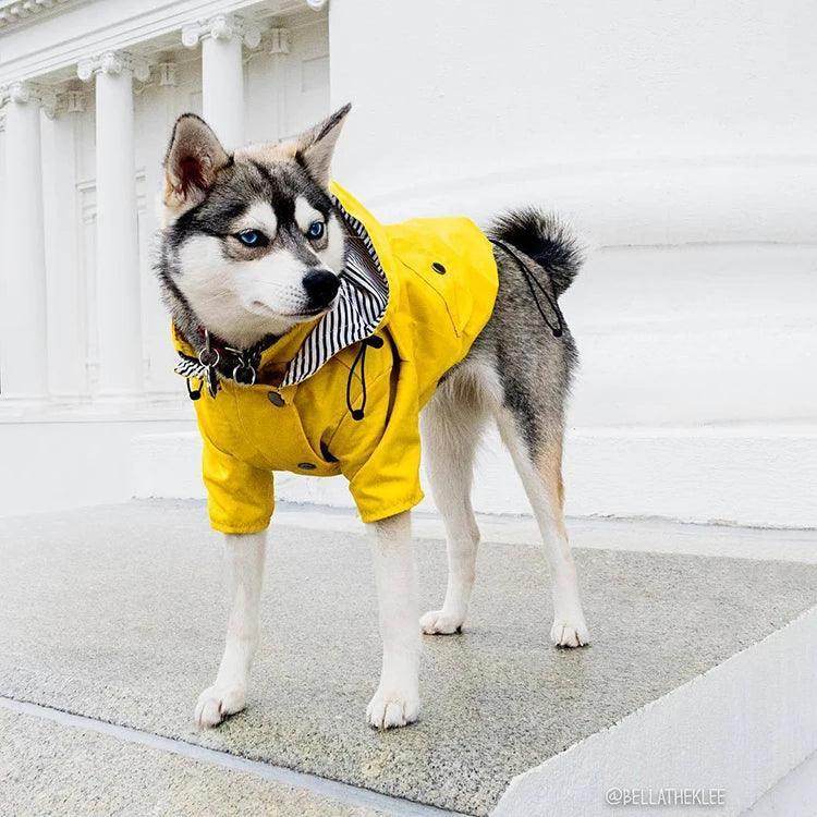 Waterproof Raincoat for Dogs - Chills Pet Pals