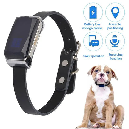 GPS Pet Locator