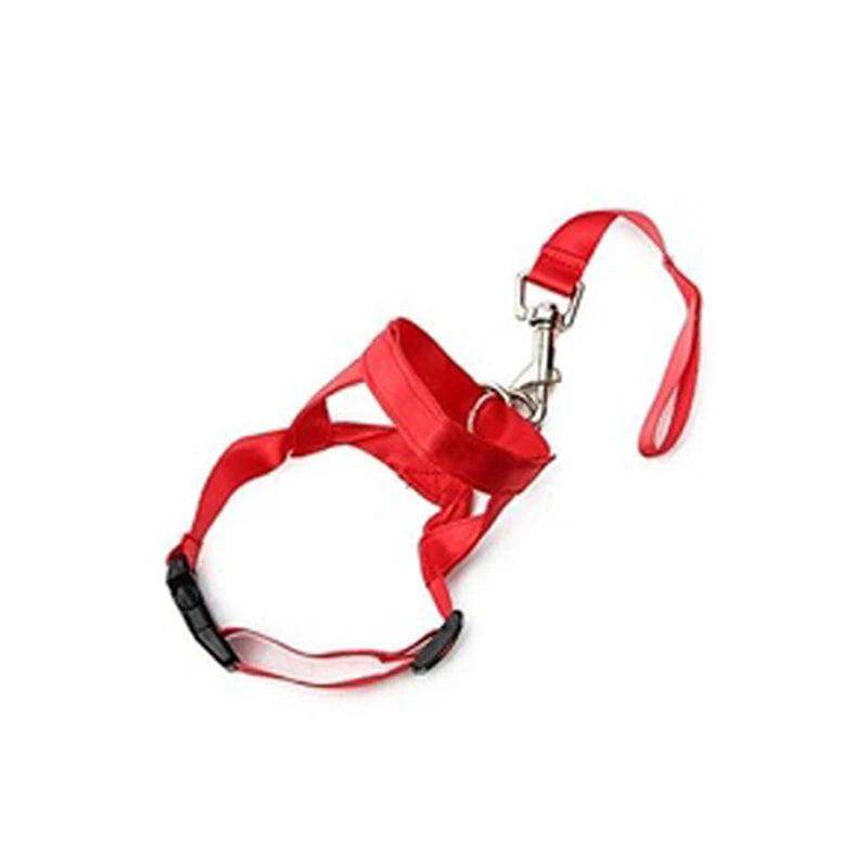 Head Collar Training Leash - Chills Pet Pals