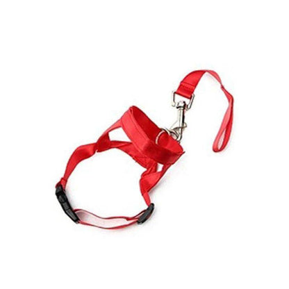 Head Collar Training Leash - Chills Pet Pals
