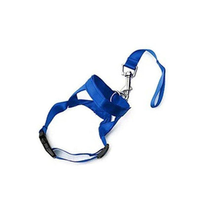 Head Collar Training Leash - Chills Pet Pals