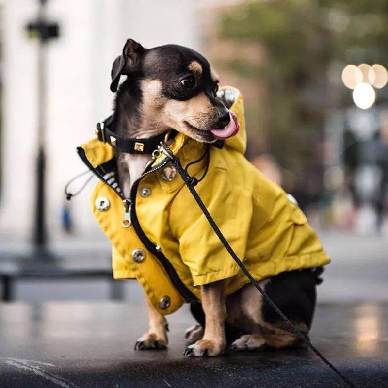 Waterproof Raincoat for Dogs - Chills Pet Pals