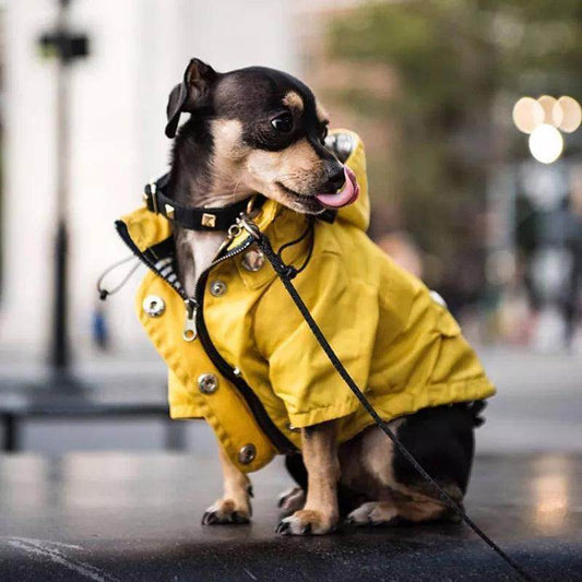 Waterproof Raincoat for Dogs - Chills Pet Pals