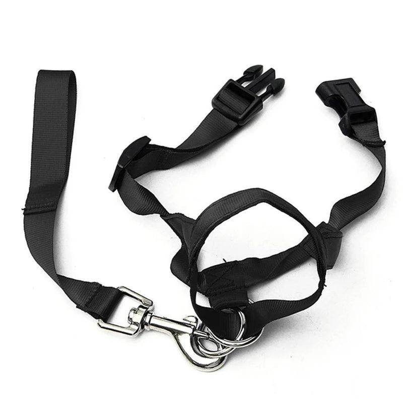 Head Collar Training Leash - Chills Pet Pals