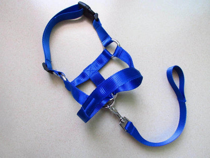 Head Harness Training Leash - Chills Pet Pals
