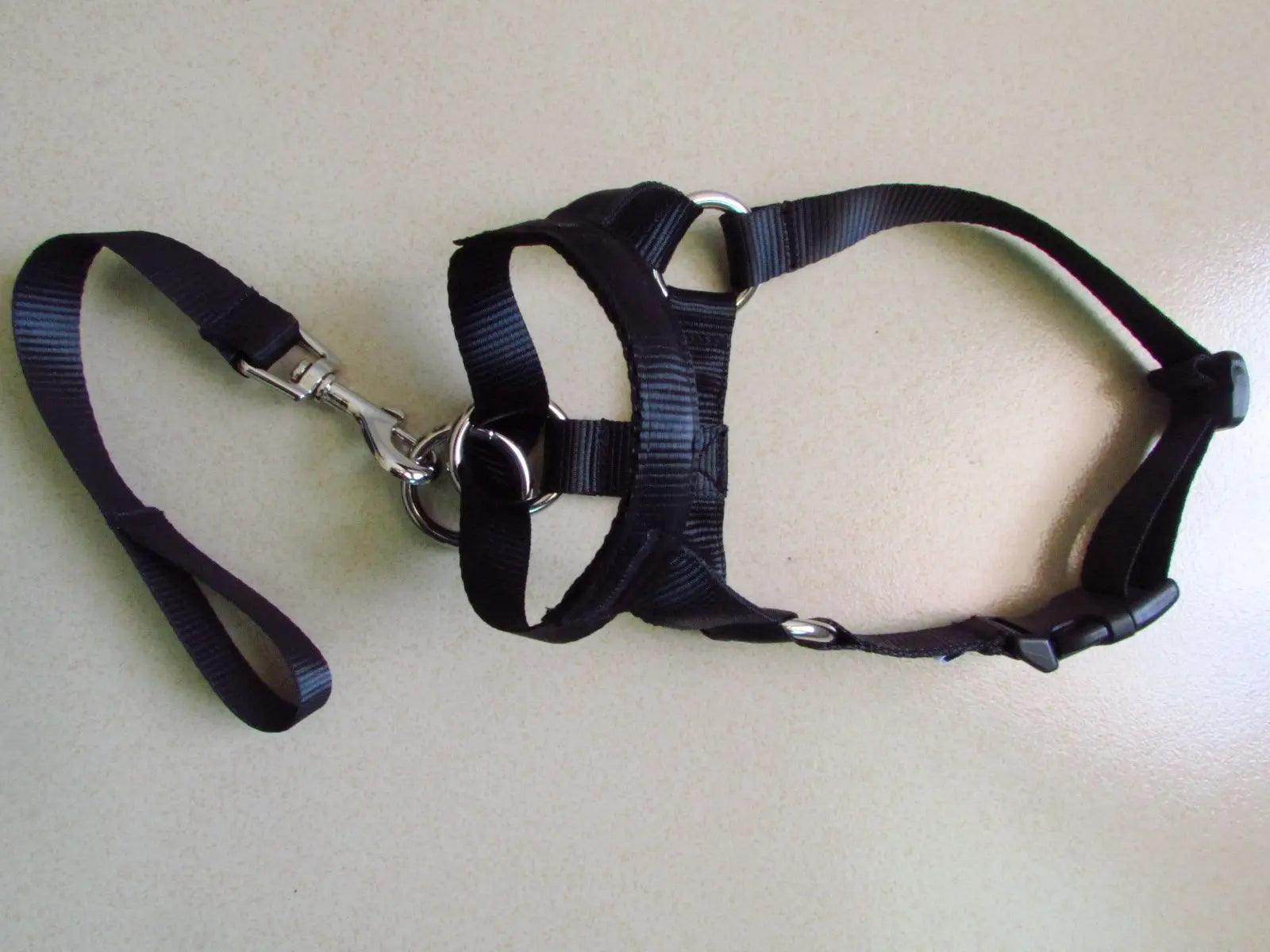 Head Harness Training Leash - Chills Pet Pals
