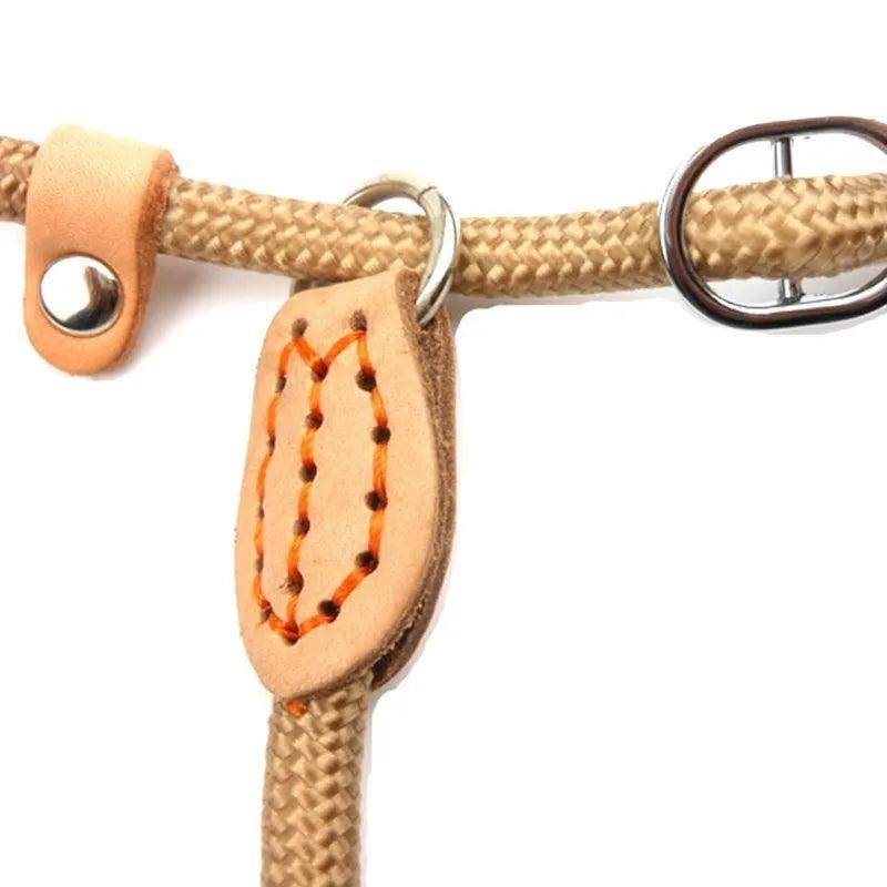 Dog Slip Rope Leash - Chills Pet Pals