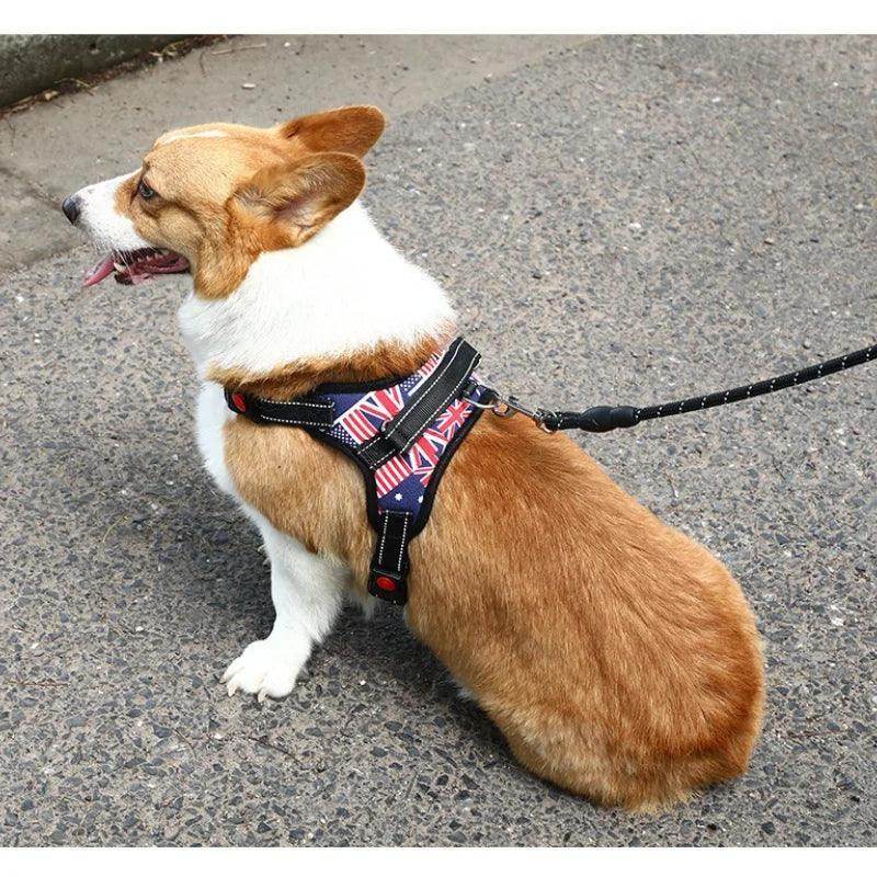 Heavy Duty Dog Harness - Chills Pet Pals