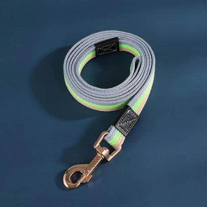 Nylon Dog Leash - Chills Pet Pals