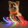 LED Night Dog Collar - Chills Pet Pals