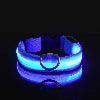 LED Night Dog Collar - Chills Pet Pals