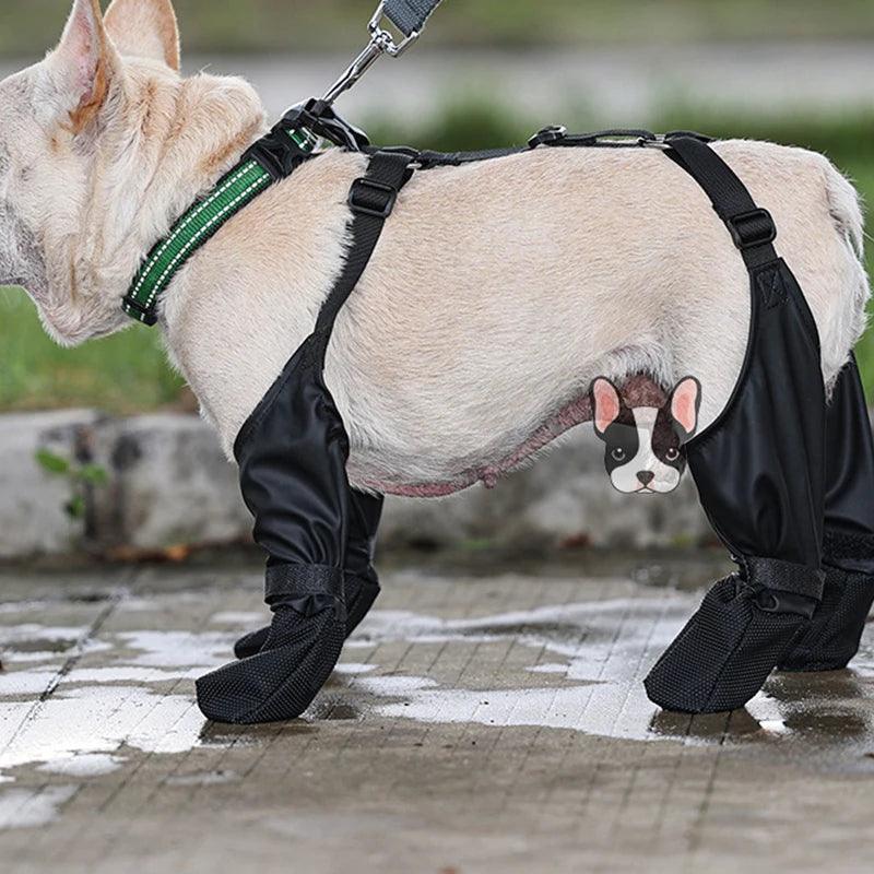 Suspender Boots for Dogs - Chills Pet Pals