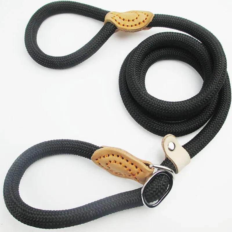 Dog Slip Rope Leash - Chills Pet Pals