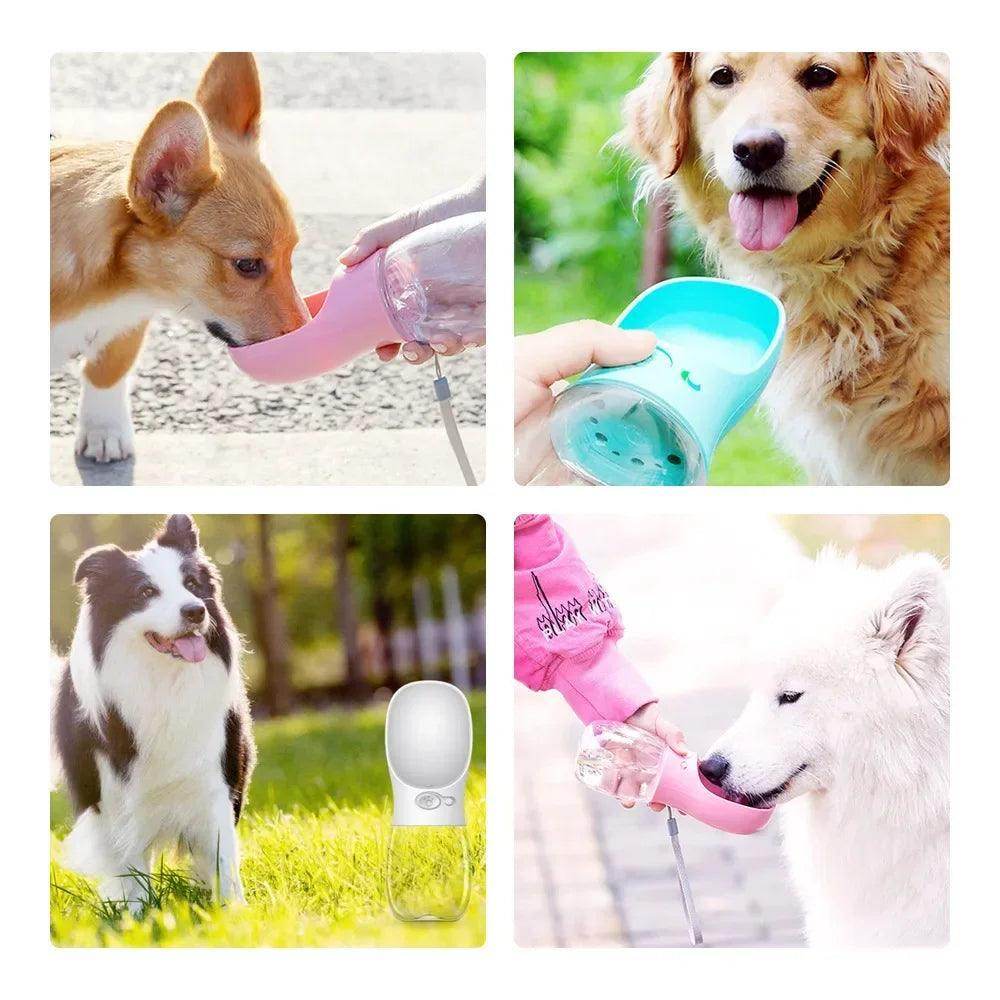 Portable Pet Water Bottle - Chills Pet Pals