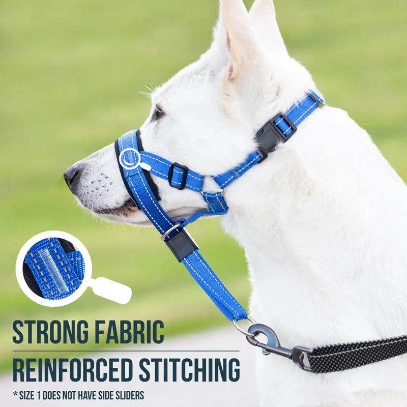 Head Harness Training Leash - Chills Pet Pals