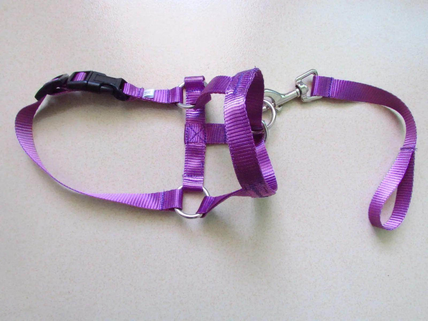 Head Harness Training Leash - Chills Pet Pals
