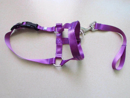 Head Harness Training Leash - Chills Pet Pals