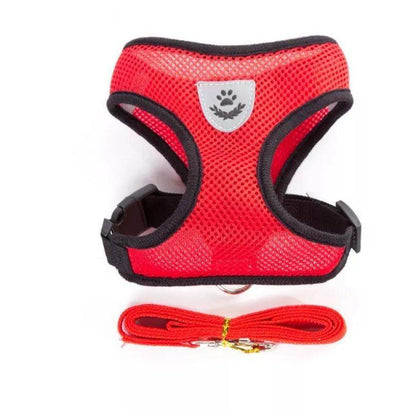 Cat Harness plus Leash - Chills Pet Pals