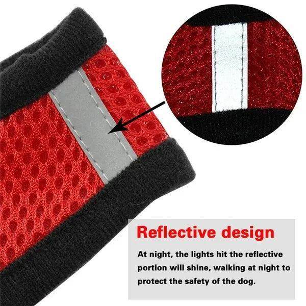 Cat Harness plus Leash - Chills Pet Pals