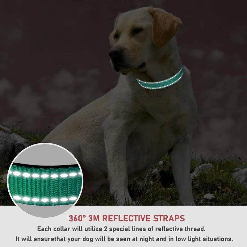 Reflective Dog Collar - Chills Pet Pals