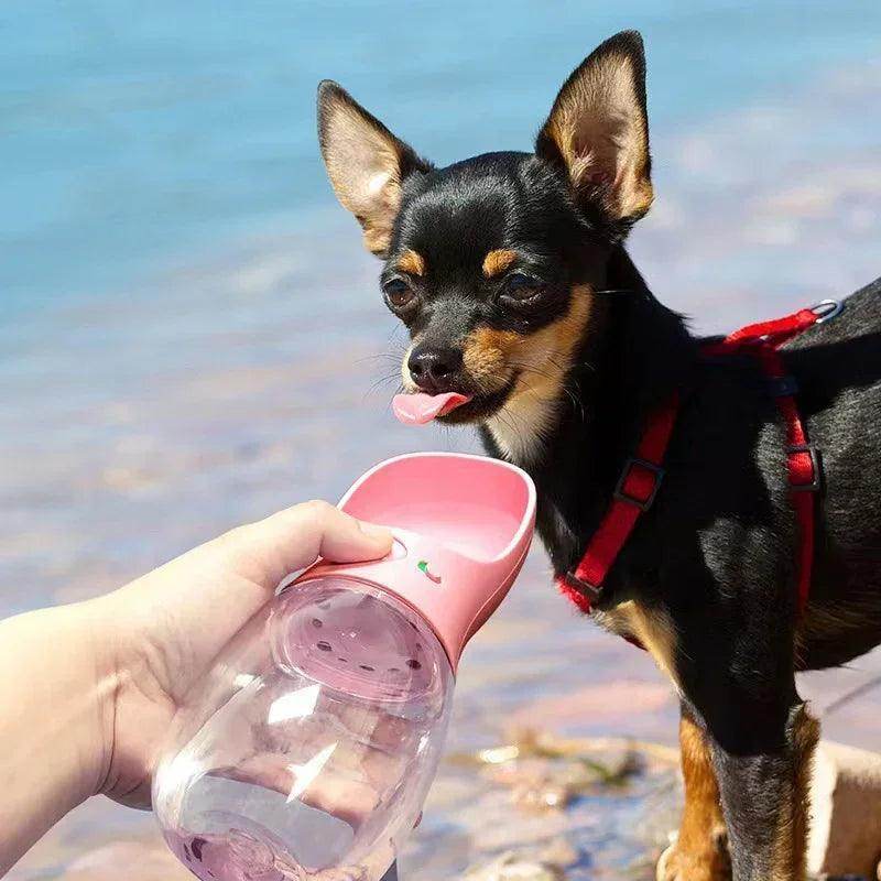 Portable Pet Water Bottle - Chills Pet Pals