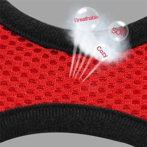 Cat Harness plus Leash - Chills Pet Pals