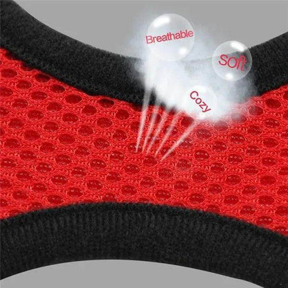 Cat Harness plus Leash - Chills Pet Pals