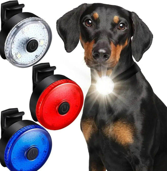 Light for Dog Collar - Chills Pet Pals