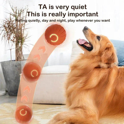 Interactive Toy Ball - Chills Pet Pals