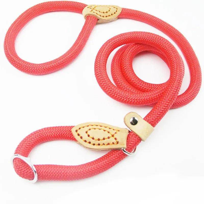Dog Slip Rope Leash - Chills Pet Pals