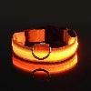 LED Night Dog Collar - Chills Pet Pals