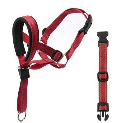 Head Harness Training Leash - Chills Pet Pals