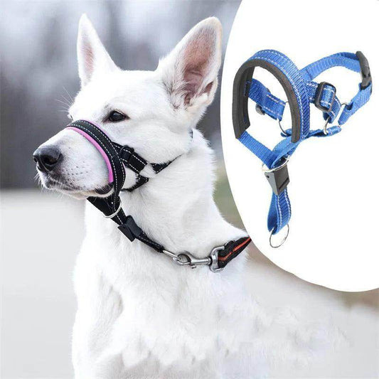 Head Harness Training Leash - Chills Pet Pals