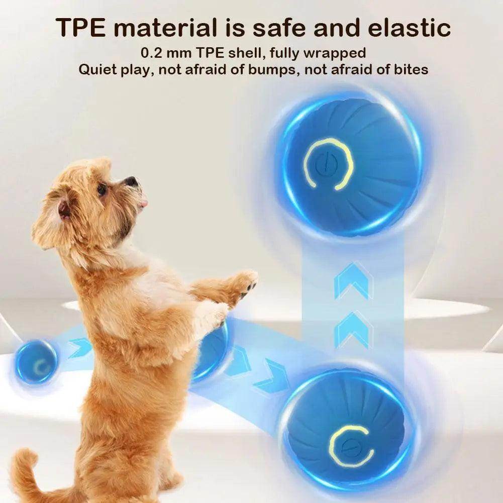 Interactive Toy Ball - Chills Pet Pals